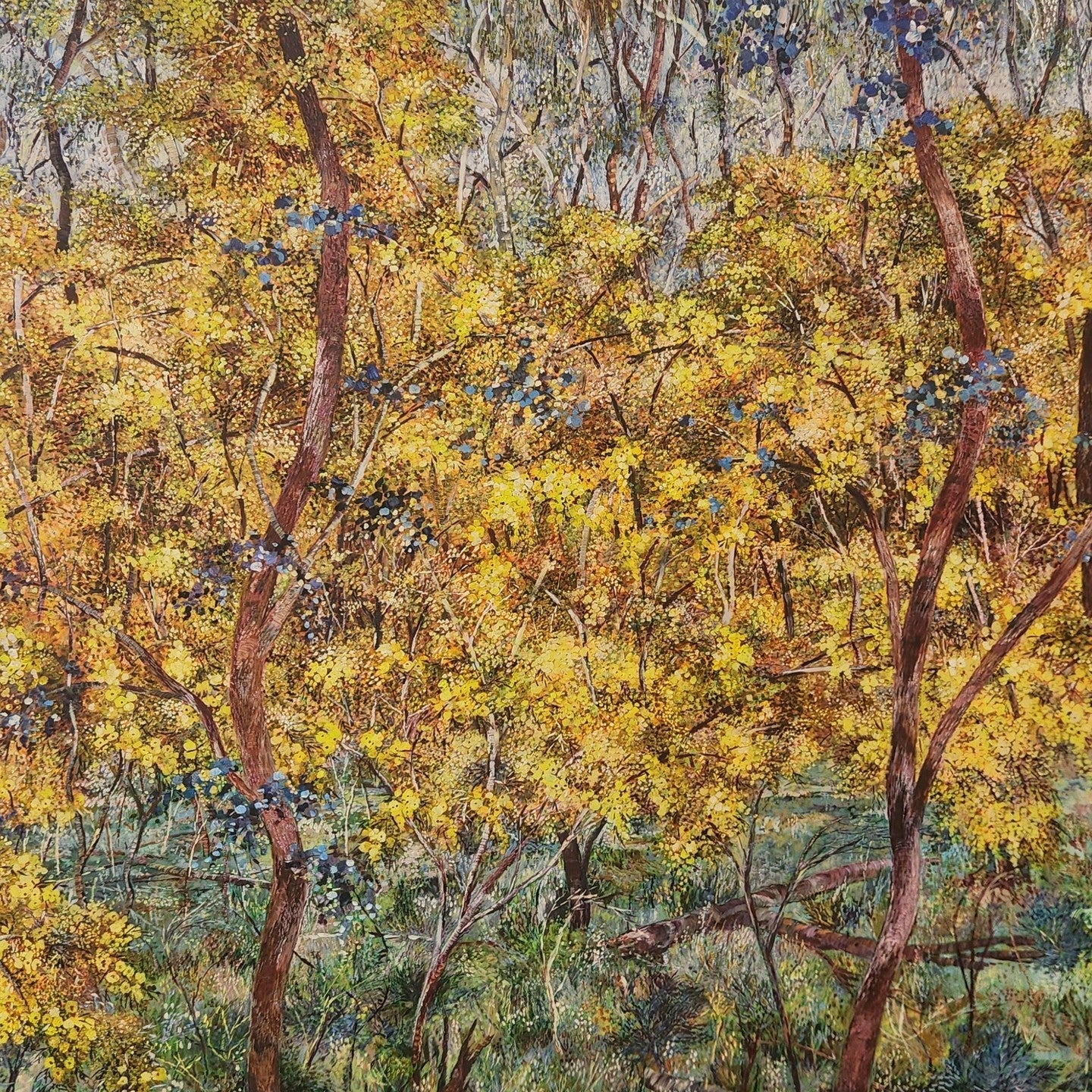 Nat Ward finalist in 2026 Fleurieu Biennale Art Prize