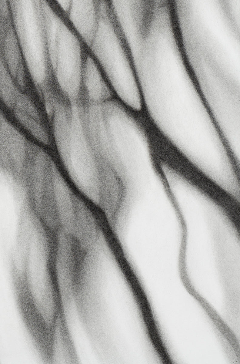 Shadows Wait