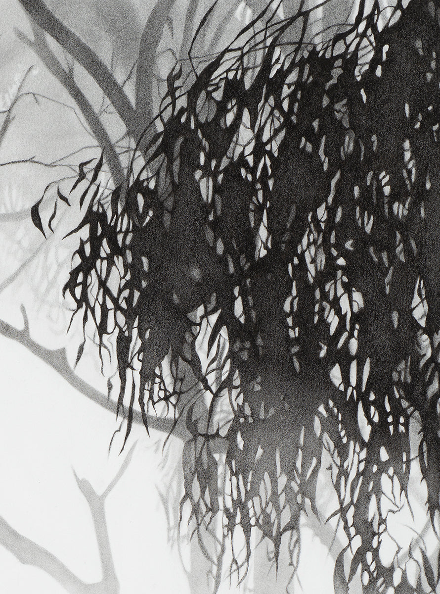 Precipice