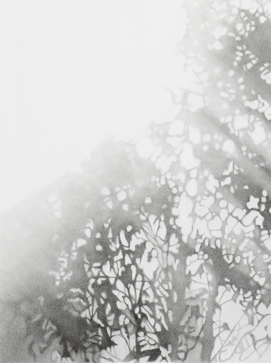 Void