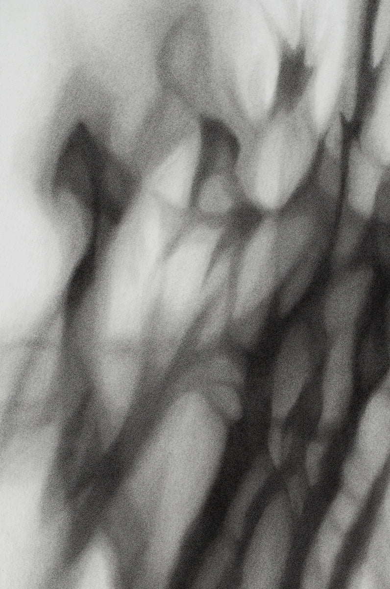 Uncertain Ground