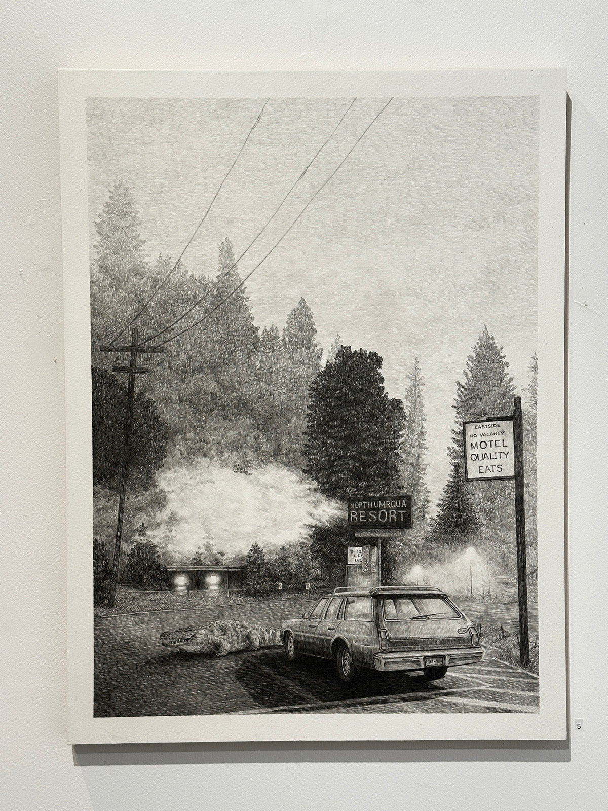 A car, crocodile and signs