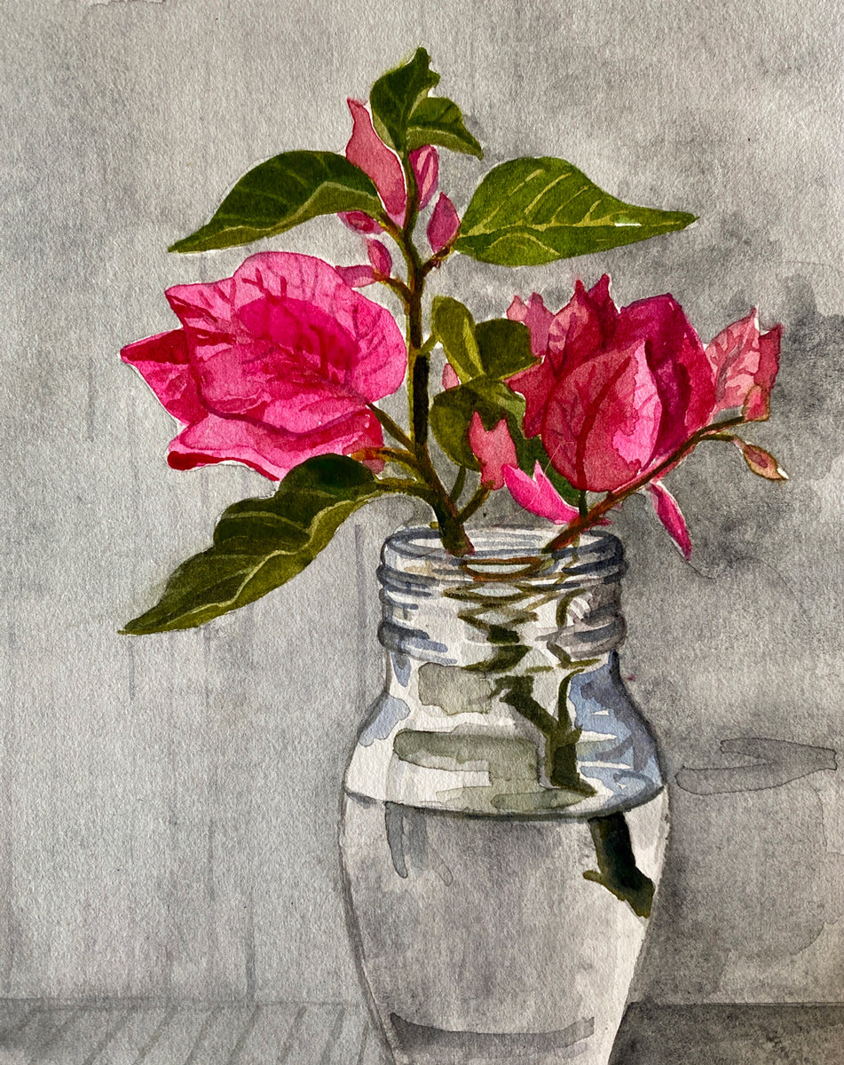 Bougainvillea