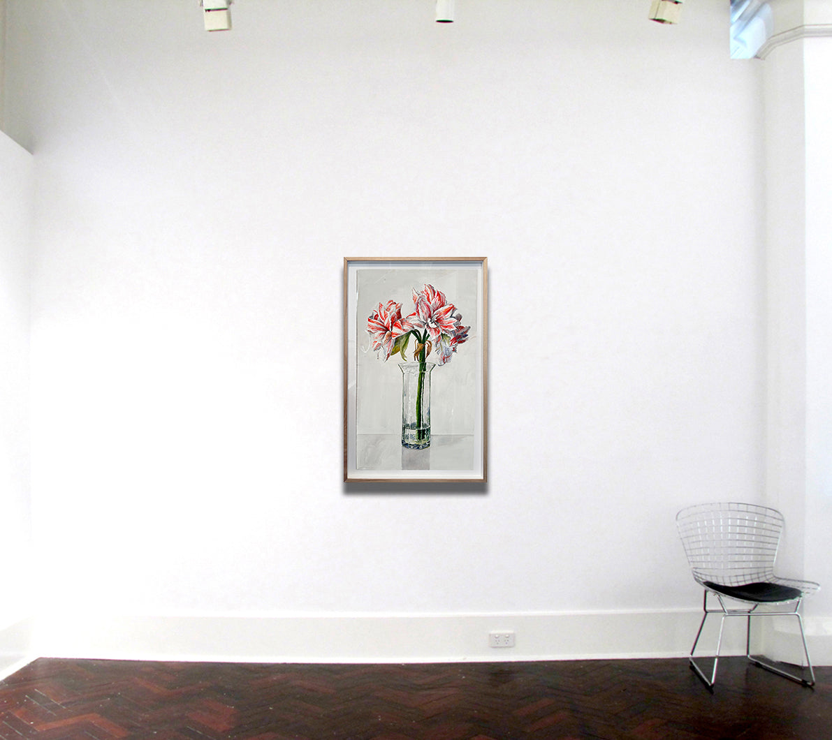 Hippeastrum, Naked