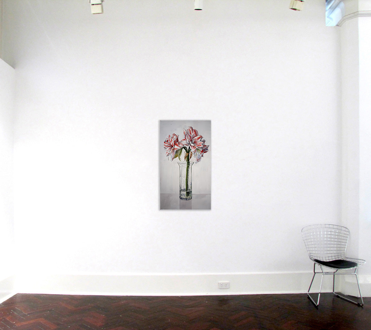 Hippeastrum, Naked