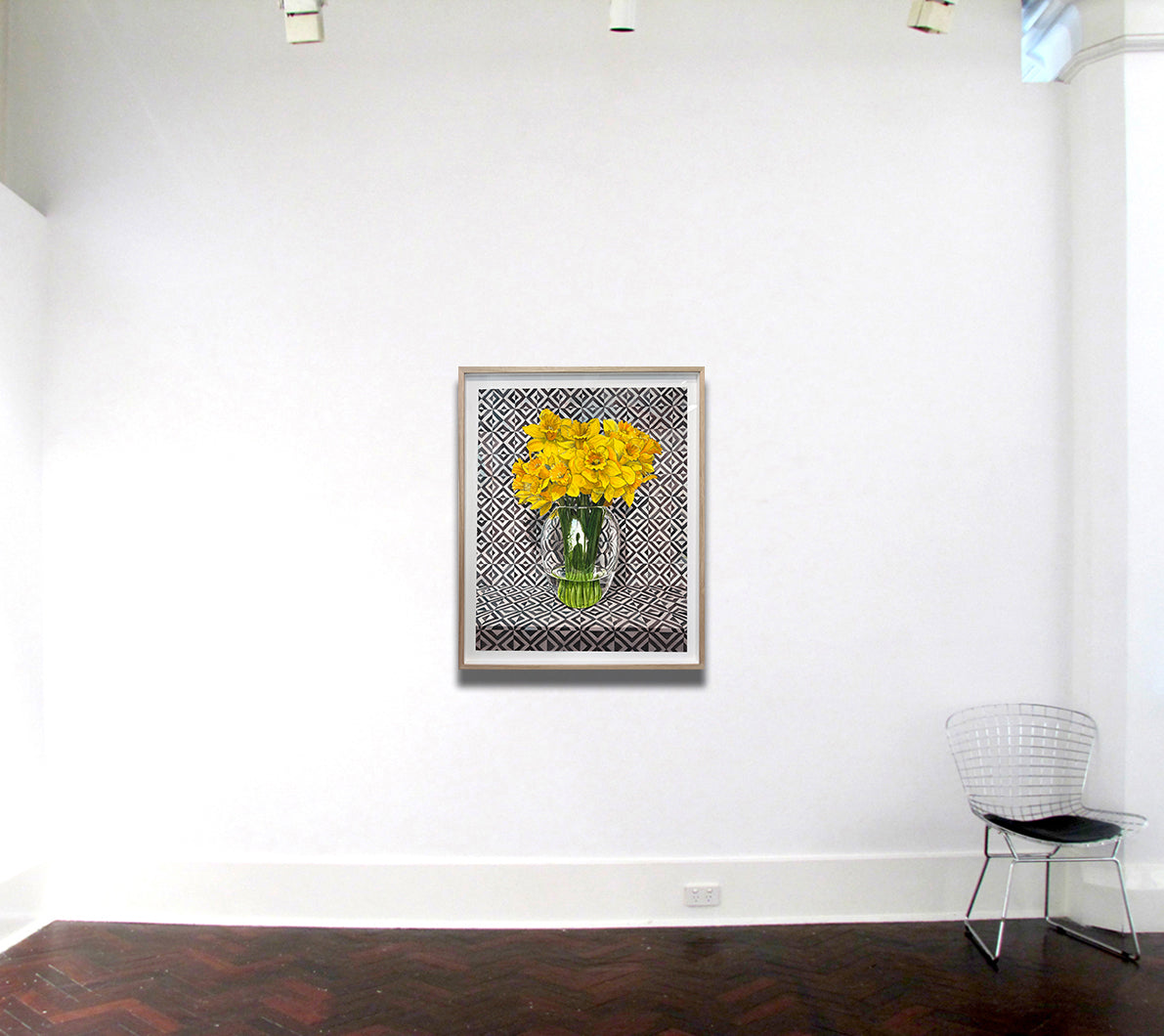 Narcissus, Observed