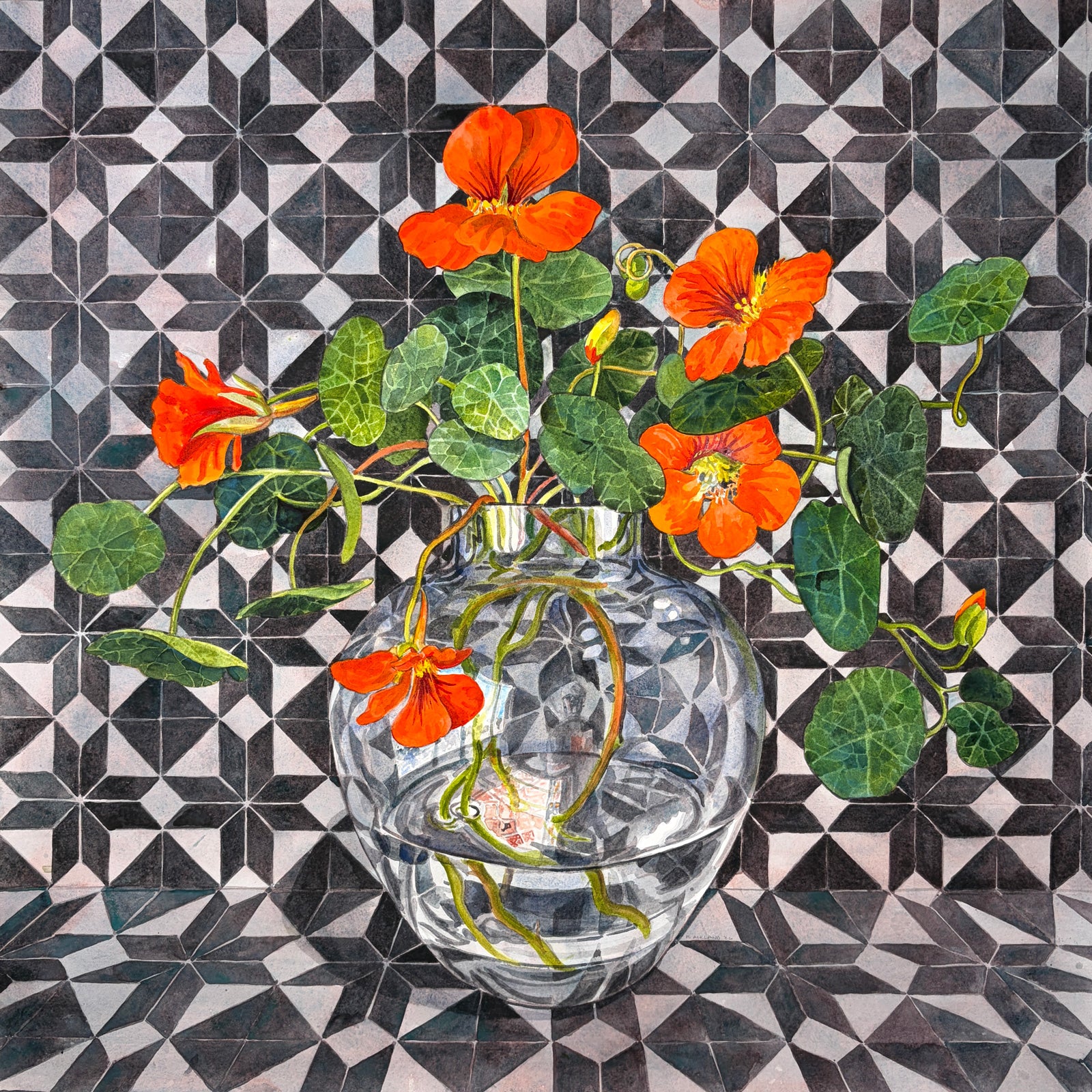 Nasturtiums, Wild