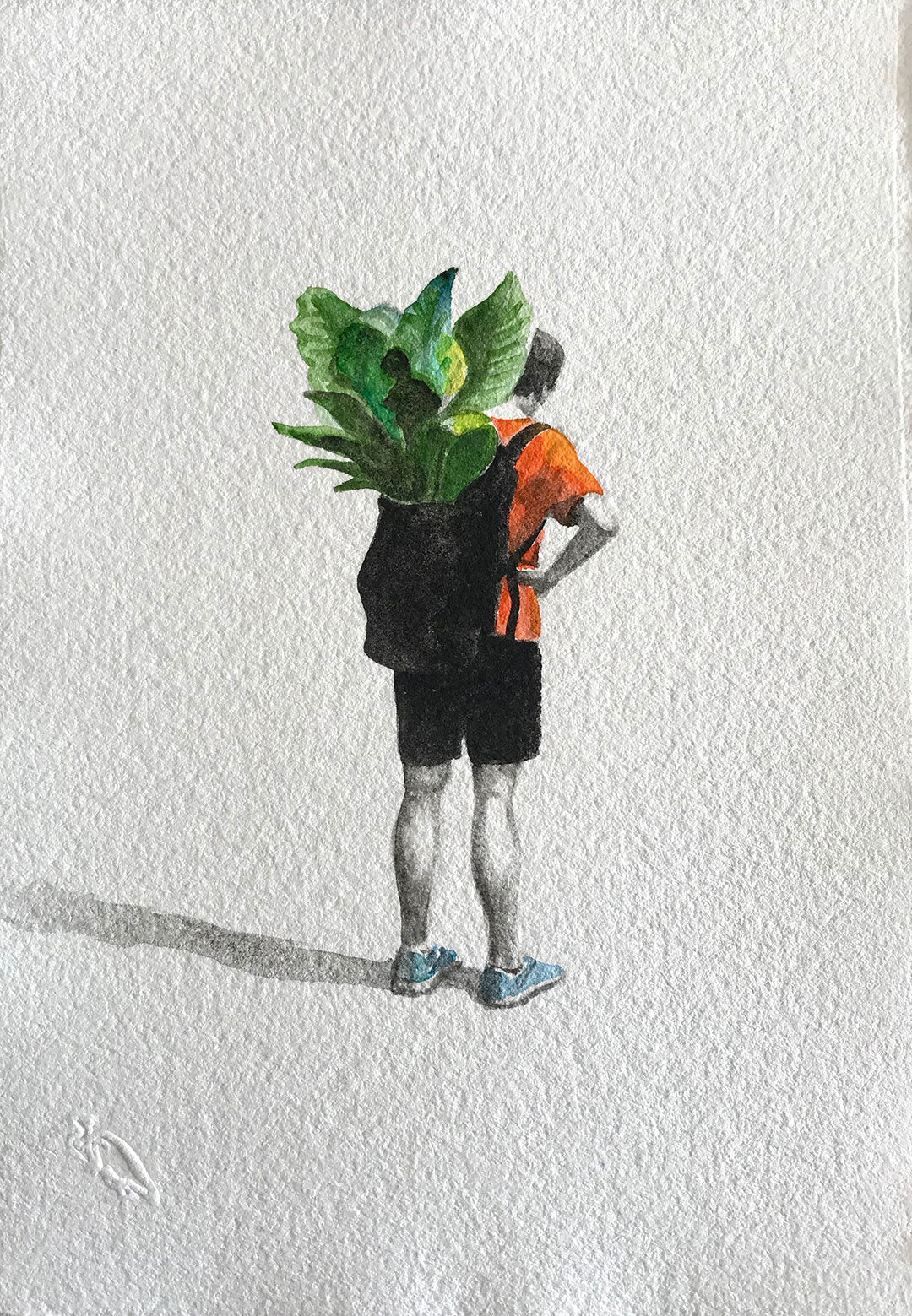 Take the Indoor Plants for a Walk