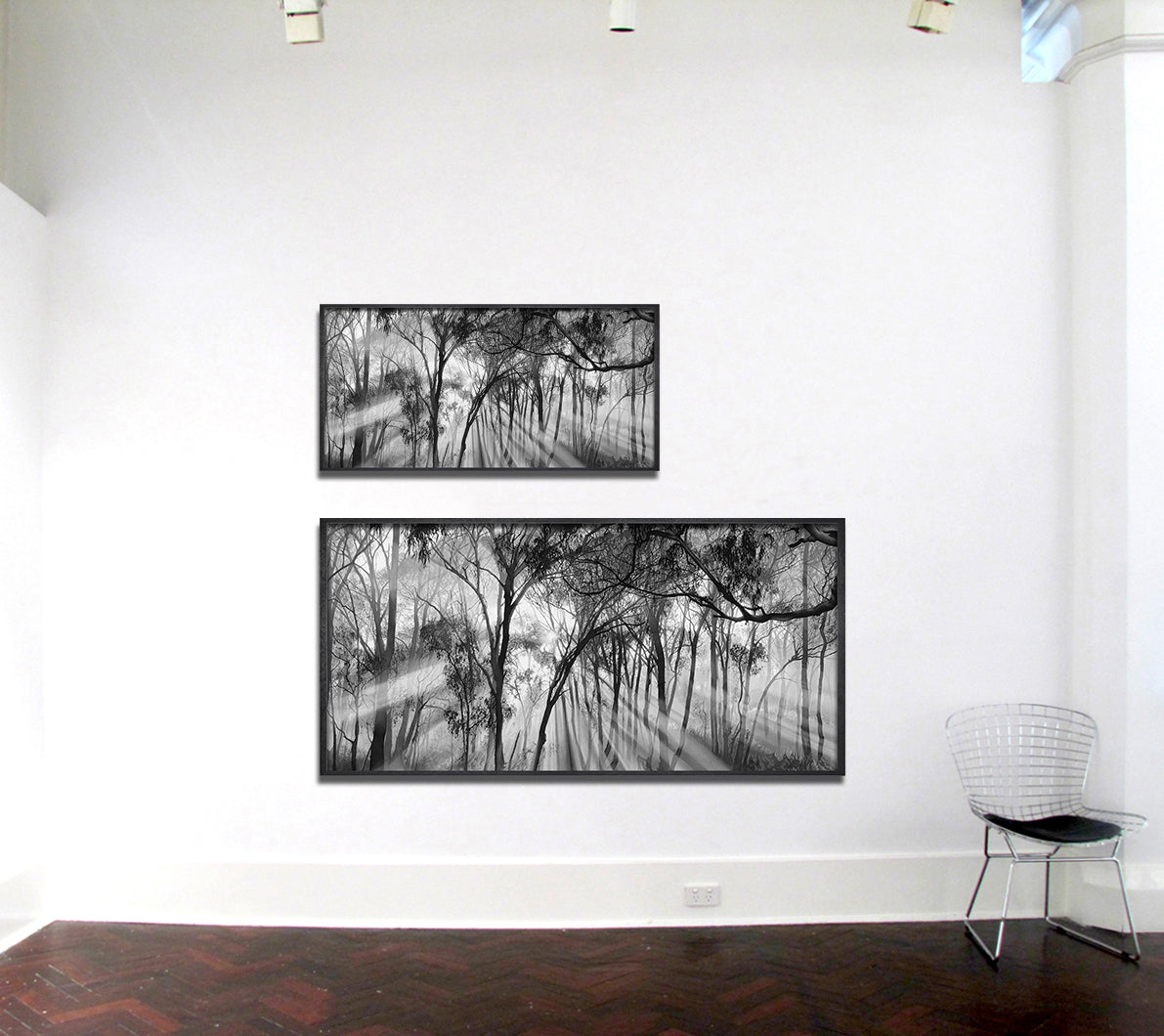 All the Beauty and the Terror -editioned print
