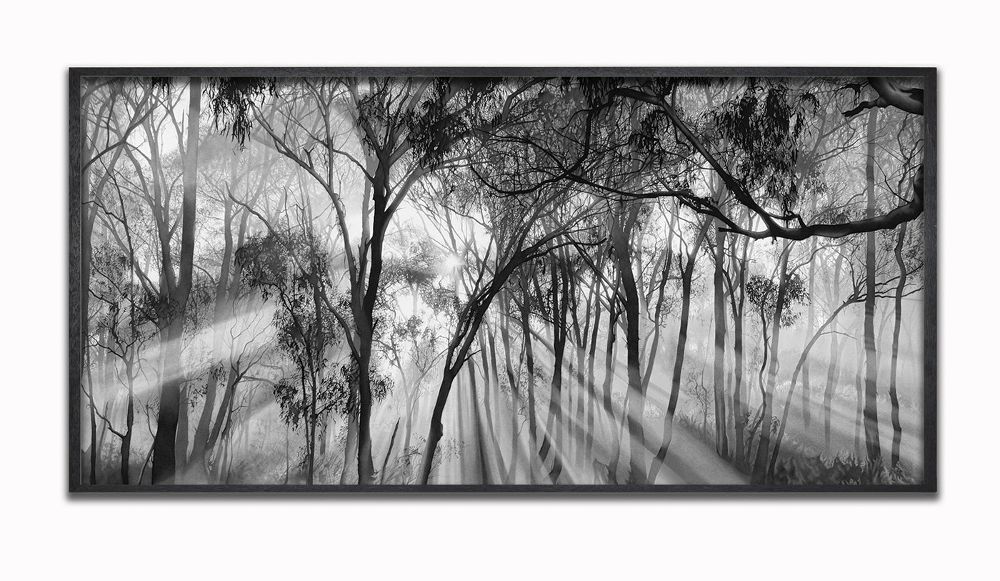 All the Beauty and the Terror -editioned print