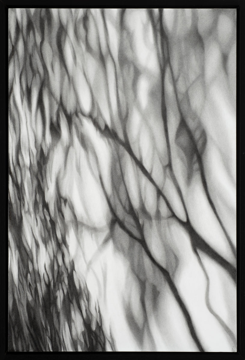 Shadows Wait