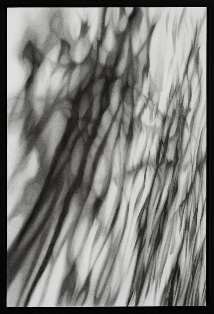 Uncertain Ground