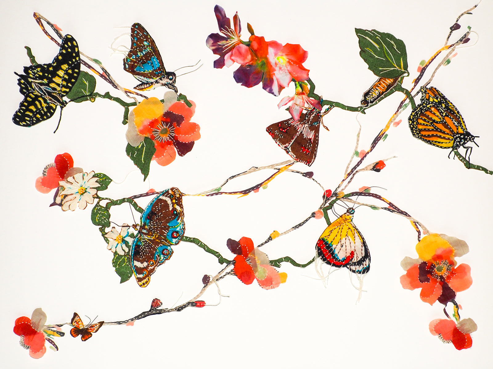 All a Flutter
