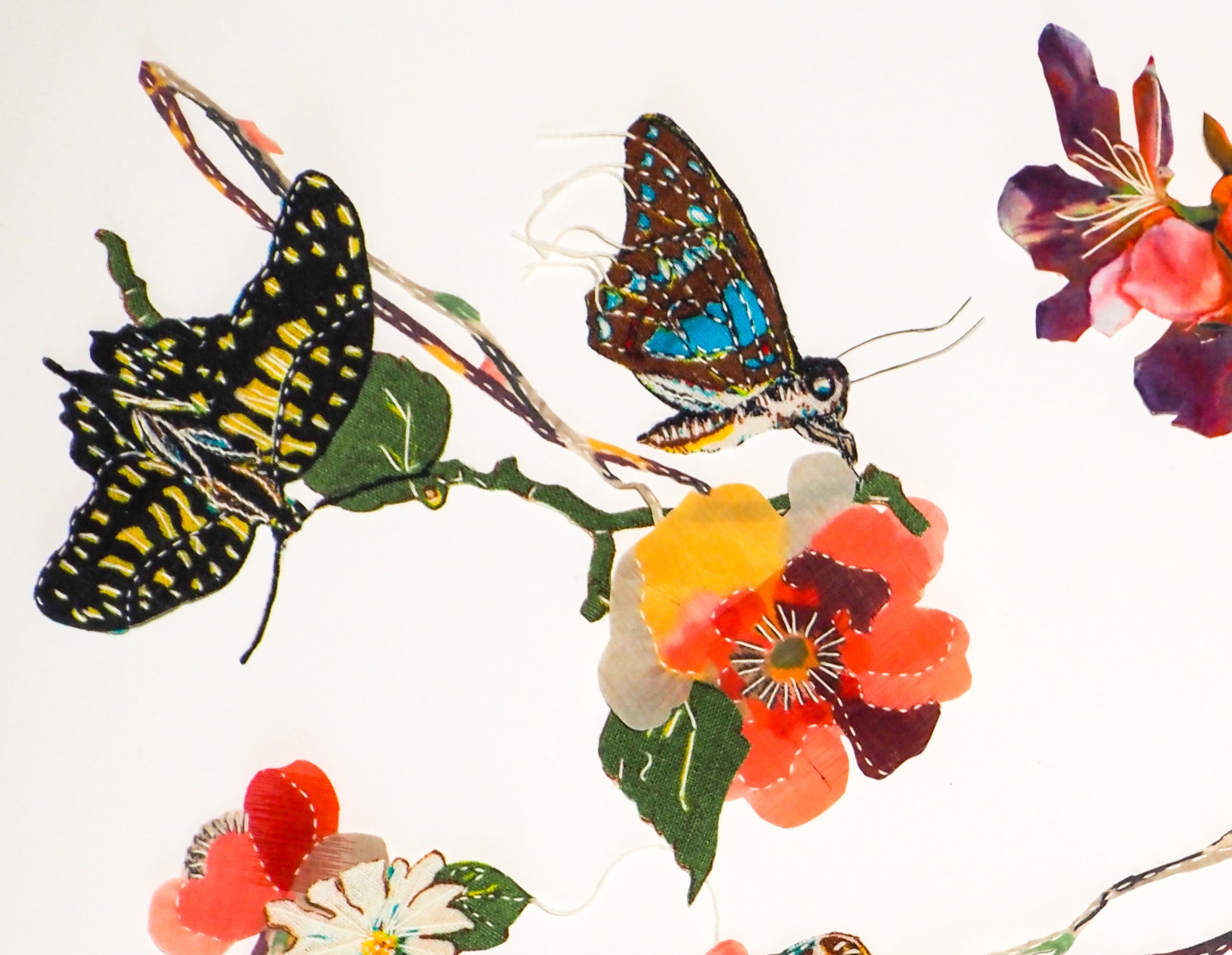 All a Flutter
