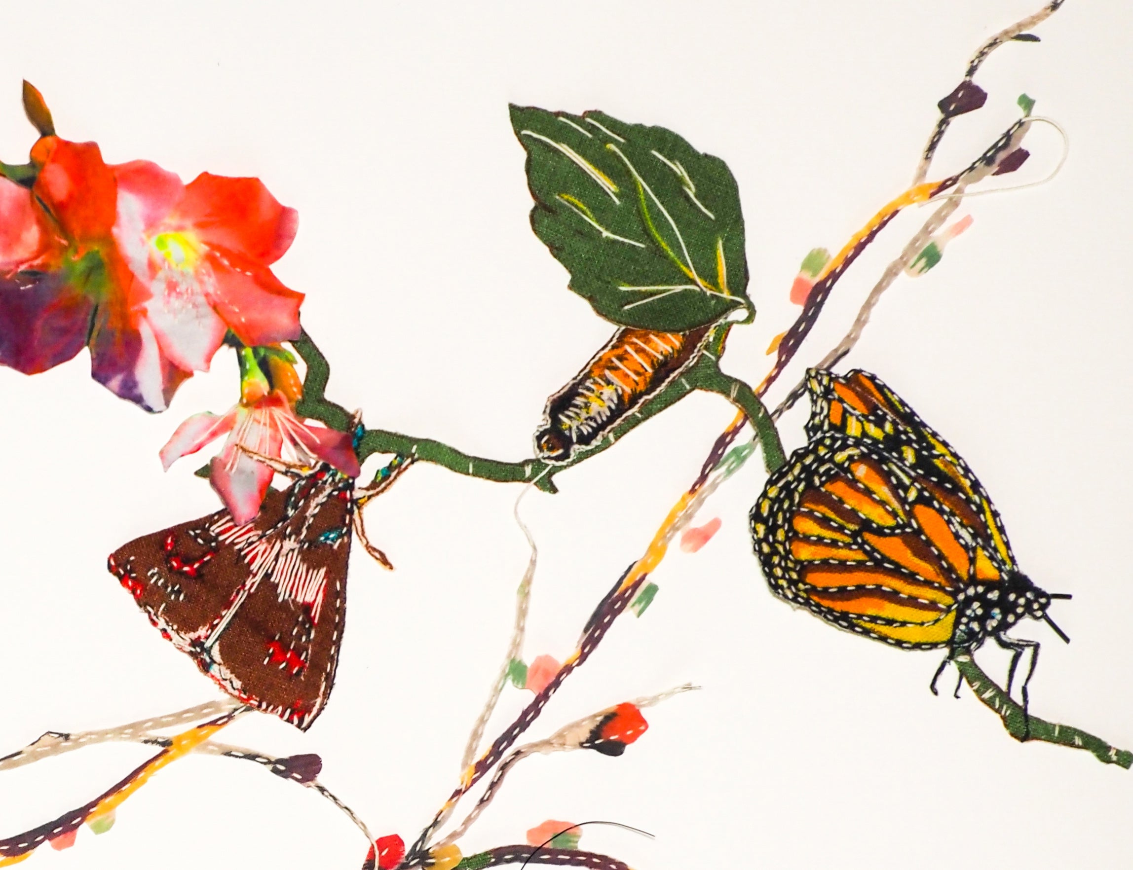 All a Flutter