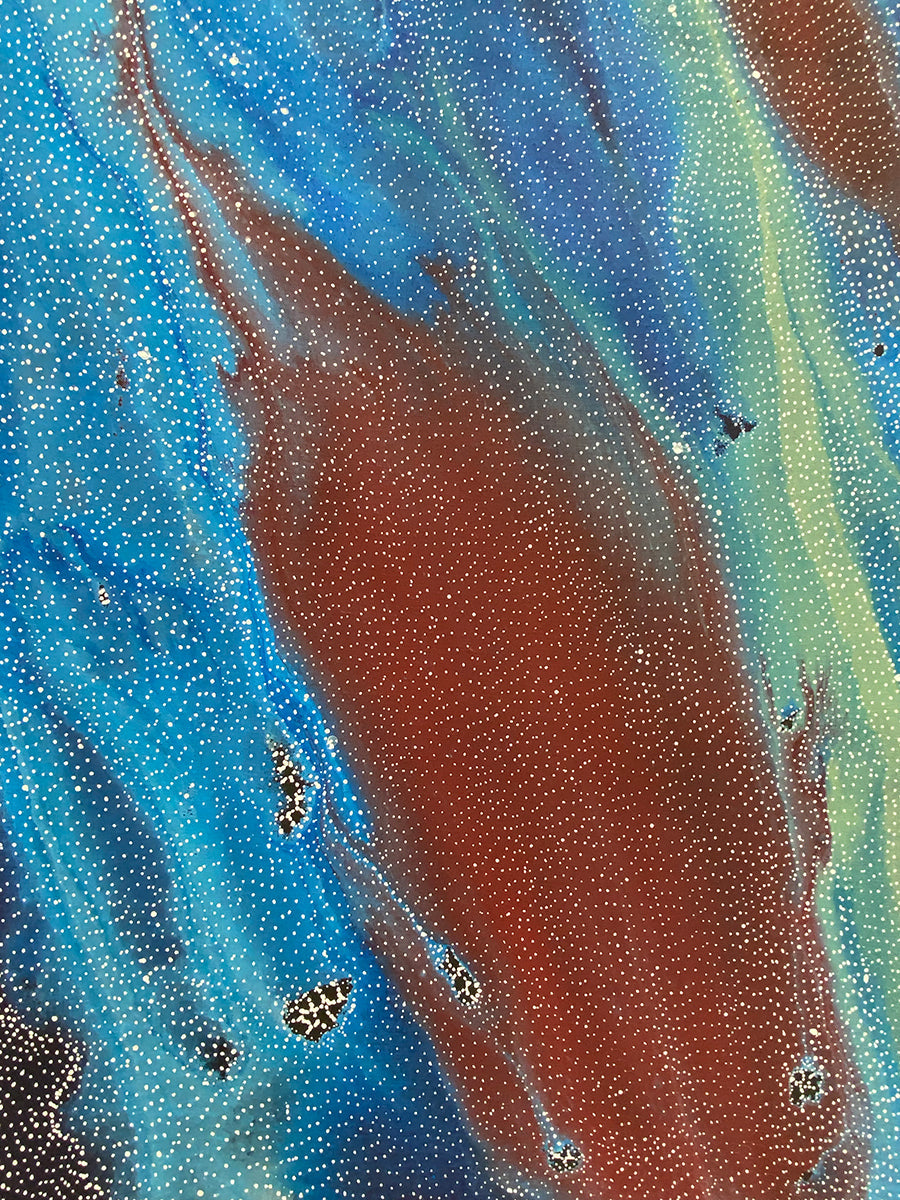 Napaljarri Jukurrpa (Seven Sisters Dreaming) 766-25