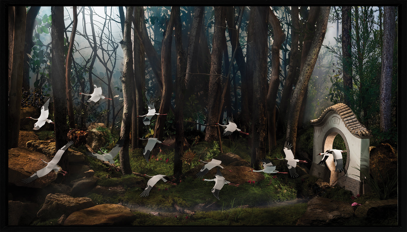 Siberian Cranes