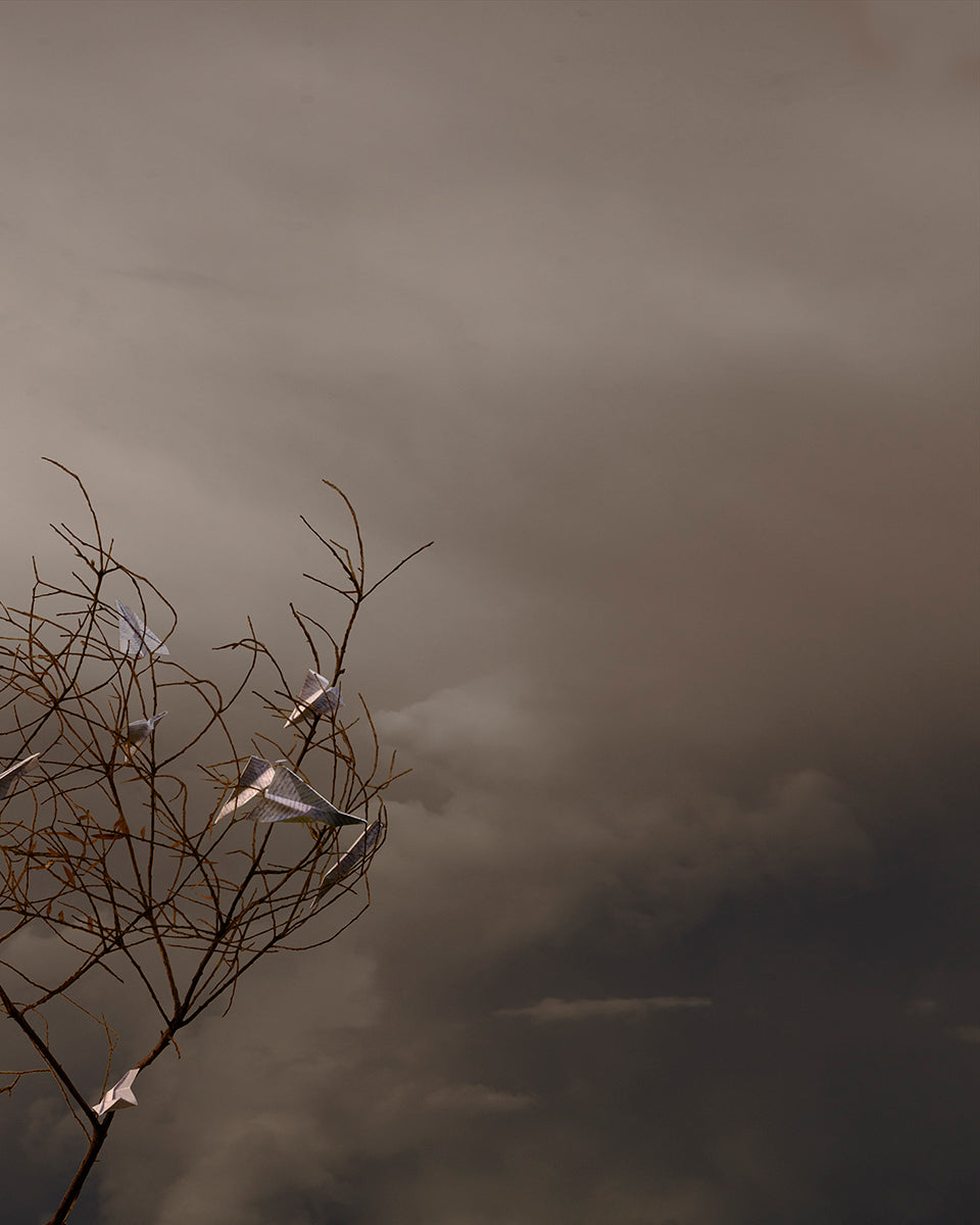 Longing