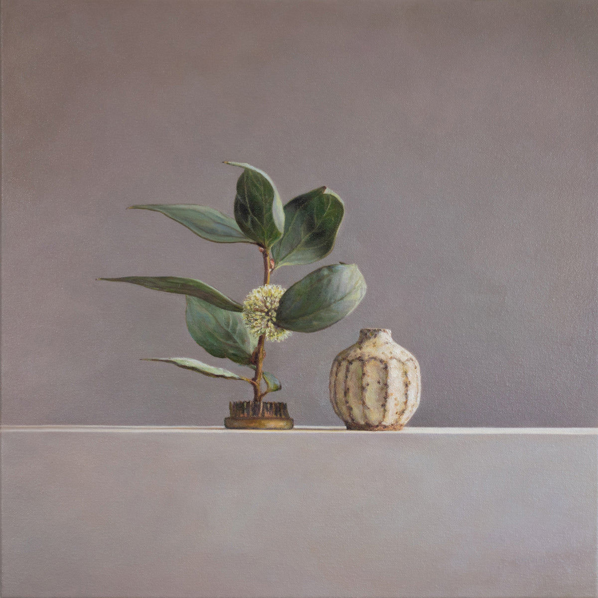 Hakea petiolaris and speckled pod vase