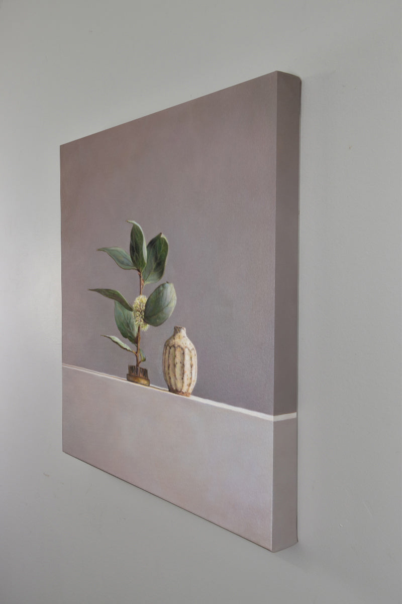 Hakea petiolaris and speckled pod vase