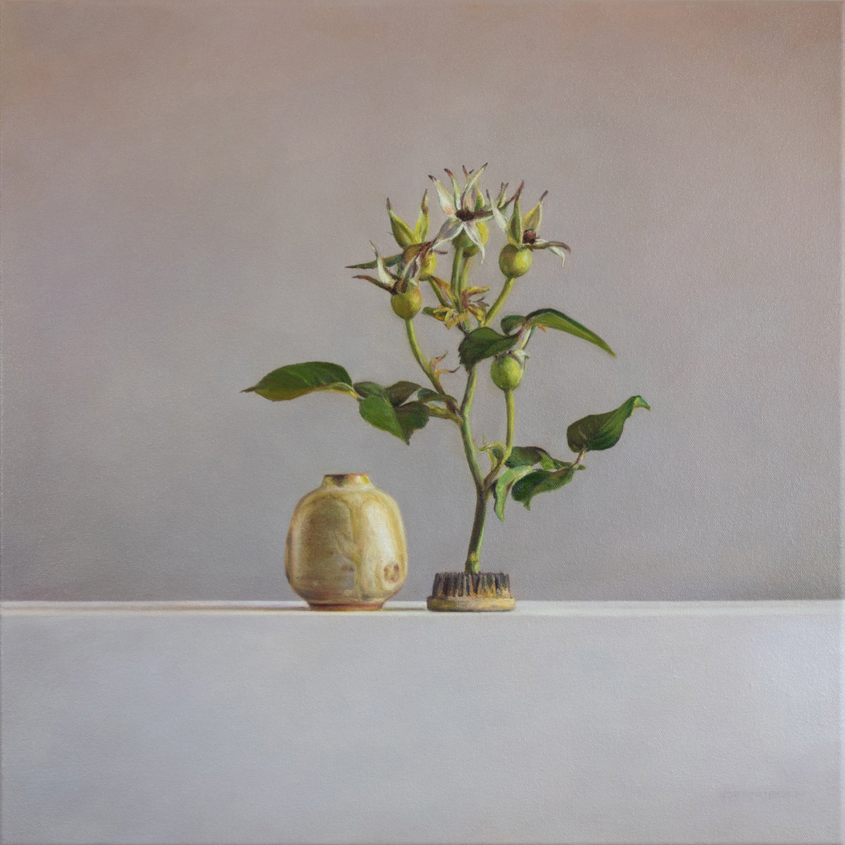 South coast pod vase and garden rosehips