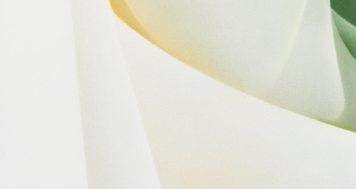 Interval of Stillness