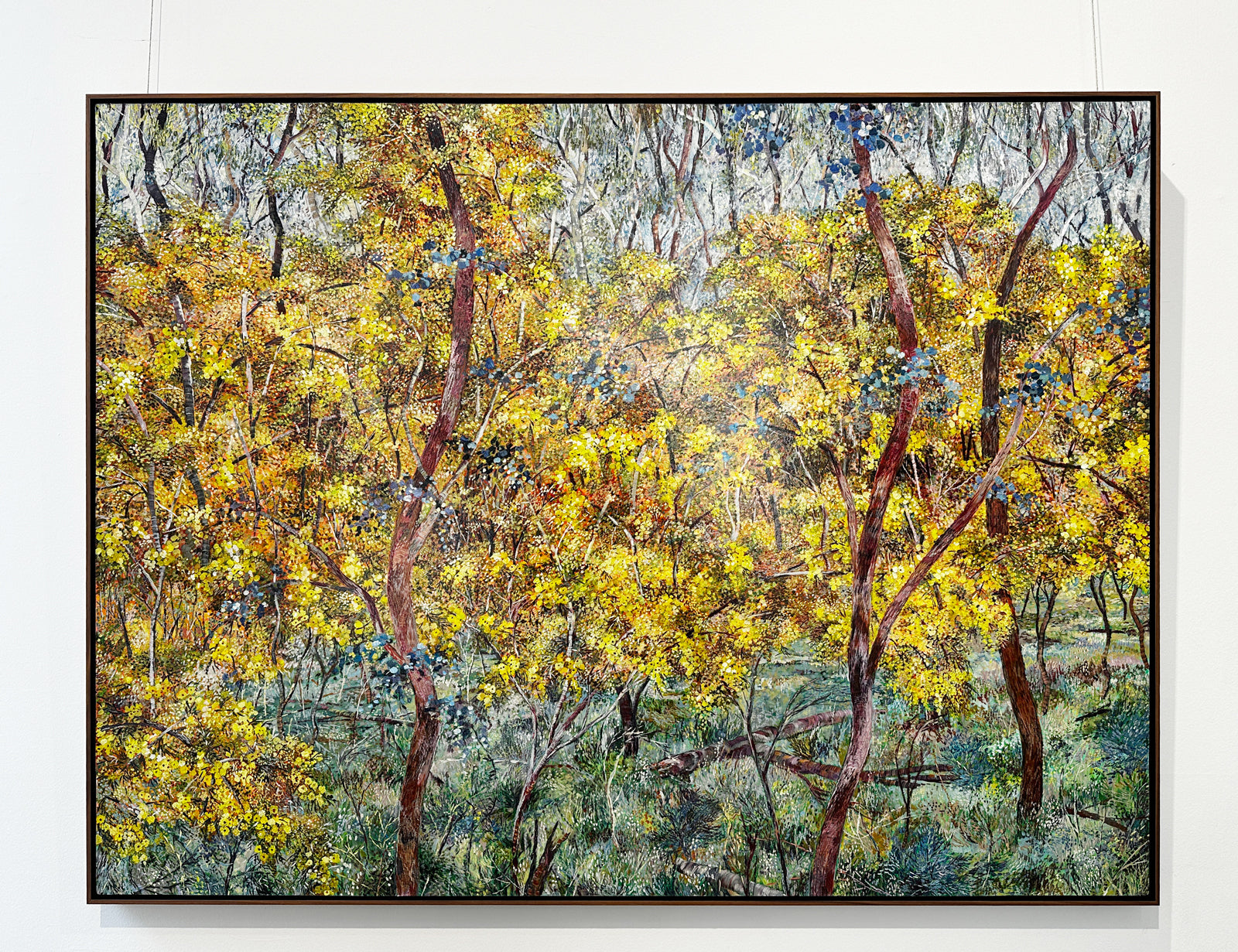 Glow - Wattles on Nailcan Hill