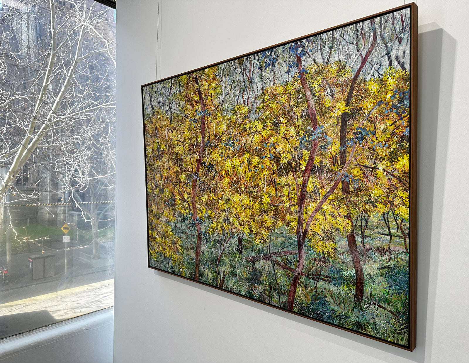 Glow - Wattles on Nailcan Hill