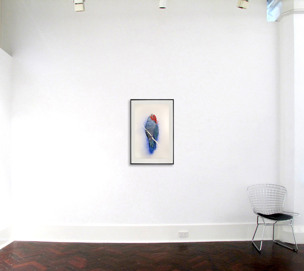 Desire line