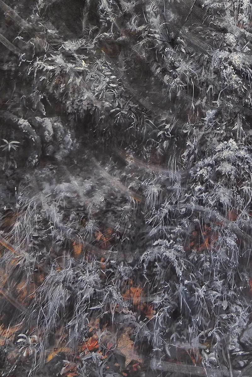 Lost Paths and the Silence of Birds