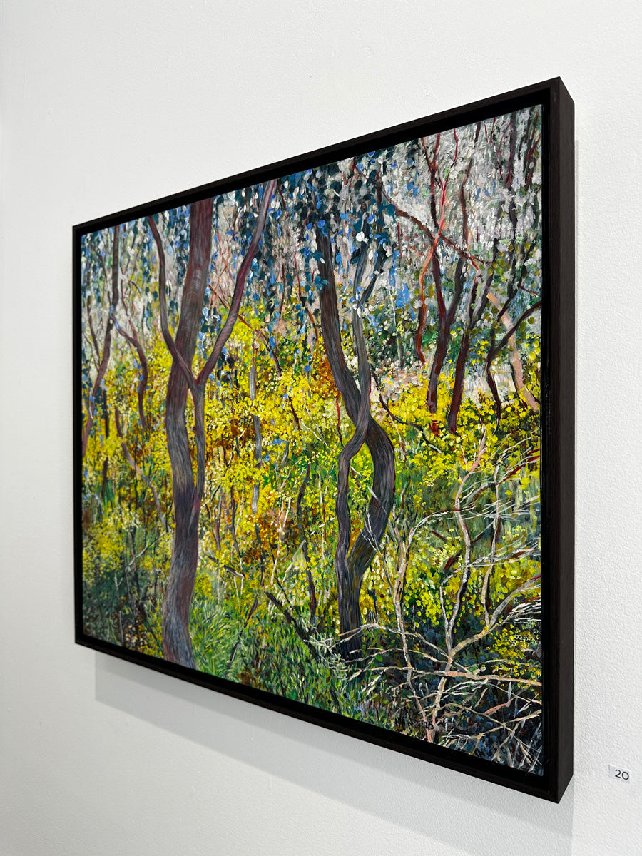 Glow no.2 (Wattles in Bushland)