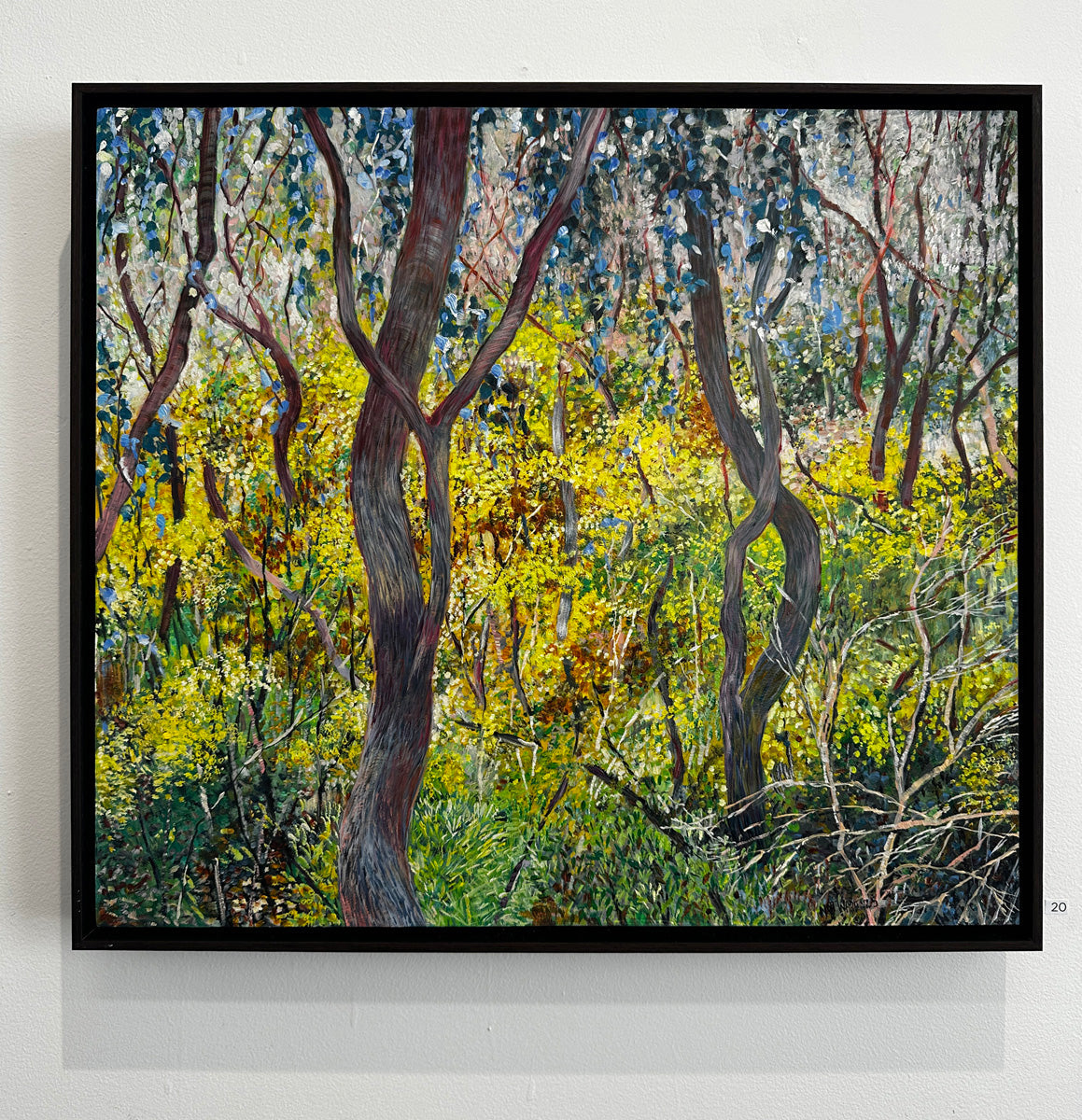 Glow no.2 (Wattles in Bushland)