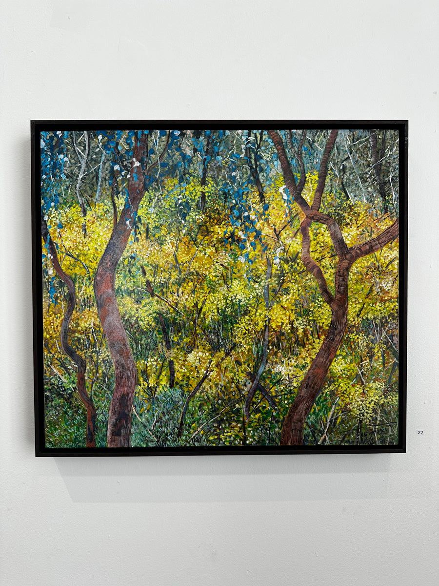 Glow no.4 (Wattles in Bushland)