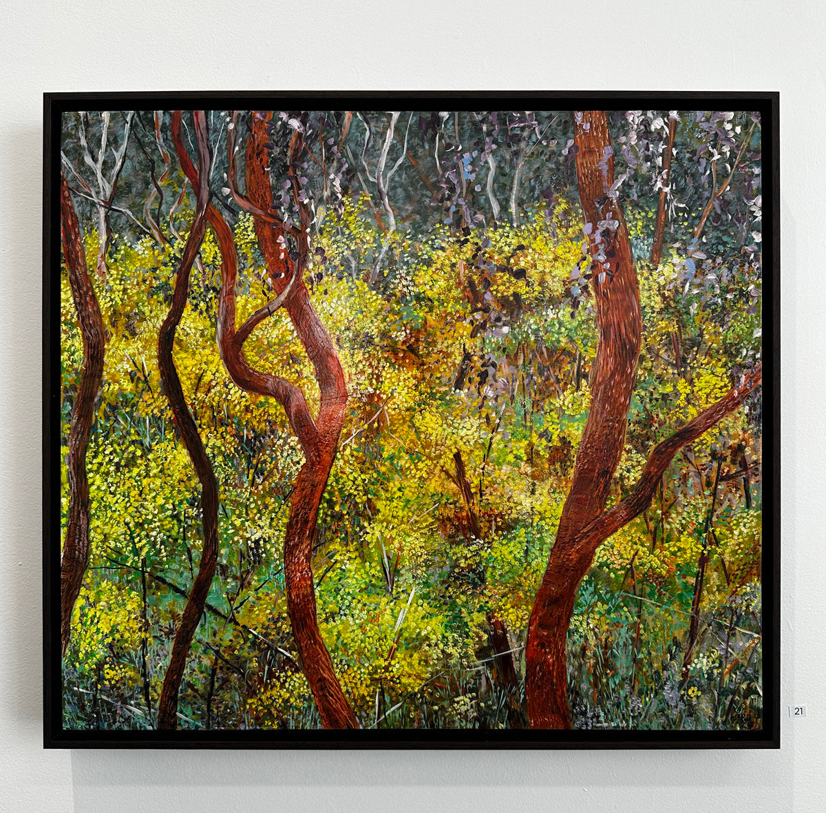 Glow no. 3 (Wattles in Bushland)