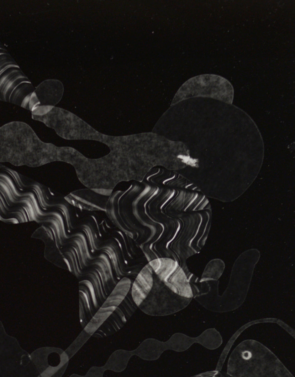 Sleeping amoebas