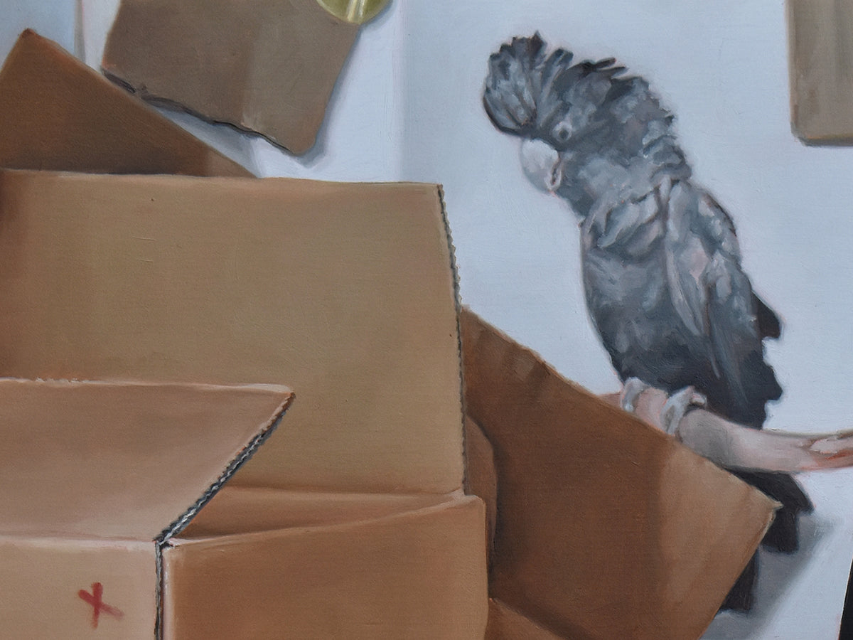 Red Tailed Black Cockatoo