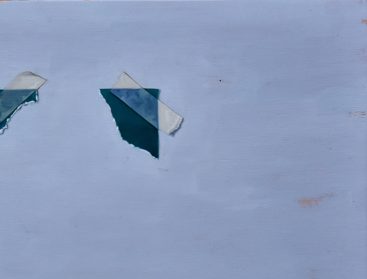 Still Life Without Oceanic Whitetip