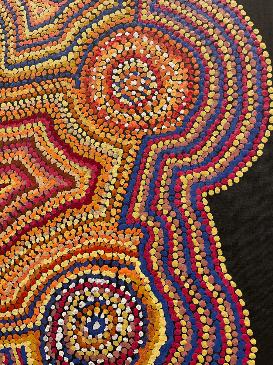 Mina Mina Jukurrpa (Mina Mina Dreaming) #3141/21ny