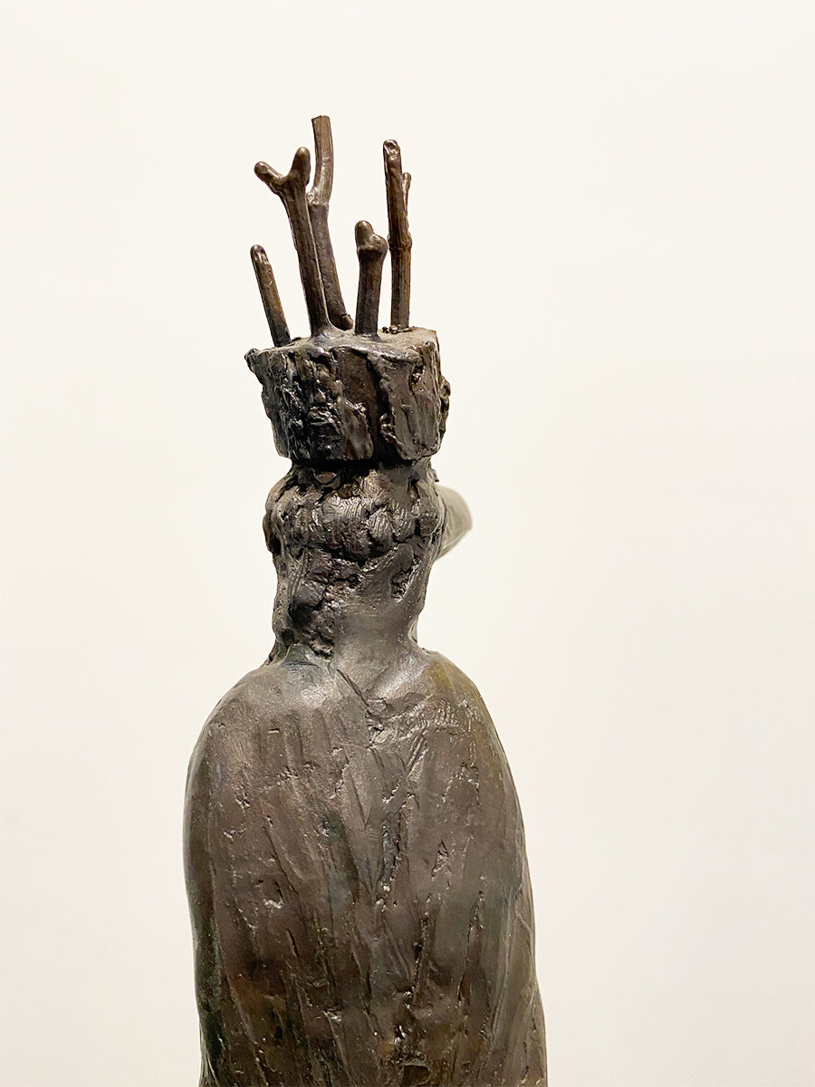 The Crow King