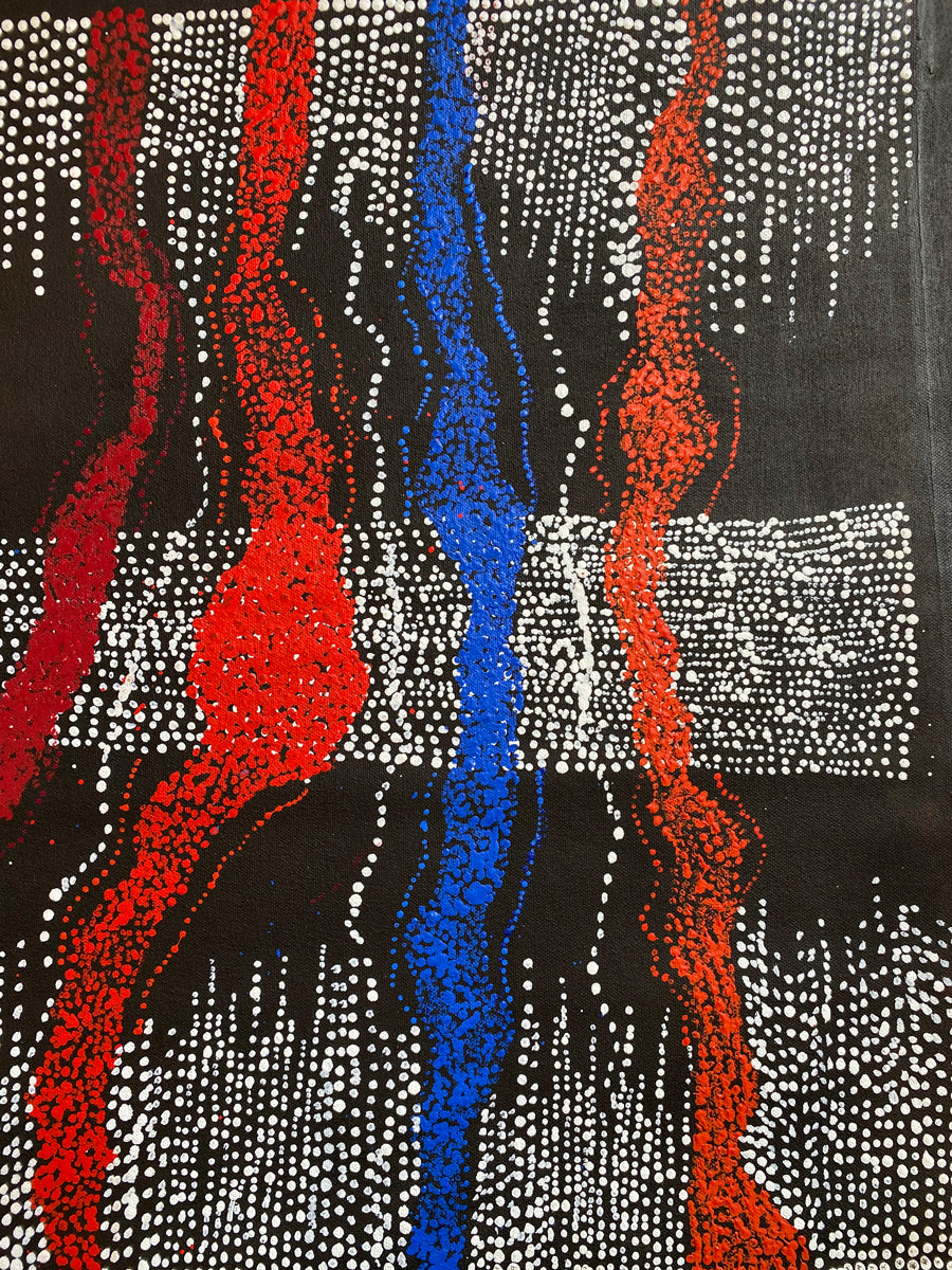 Mina Mina Jukurrpa 357-24