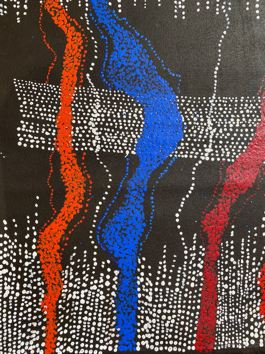 Mina Mina Jukurrpa 357-24