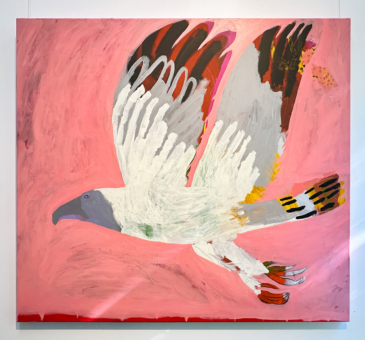 Flying Sea Eagle