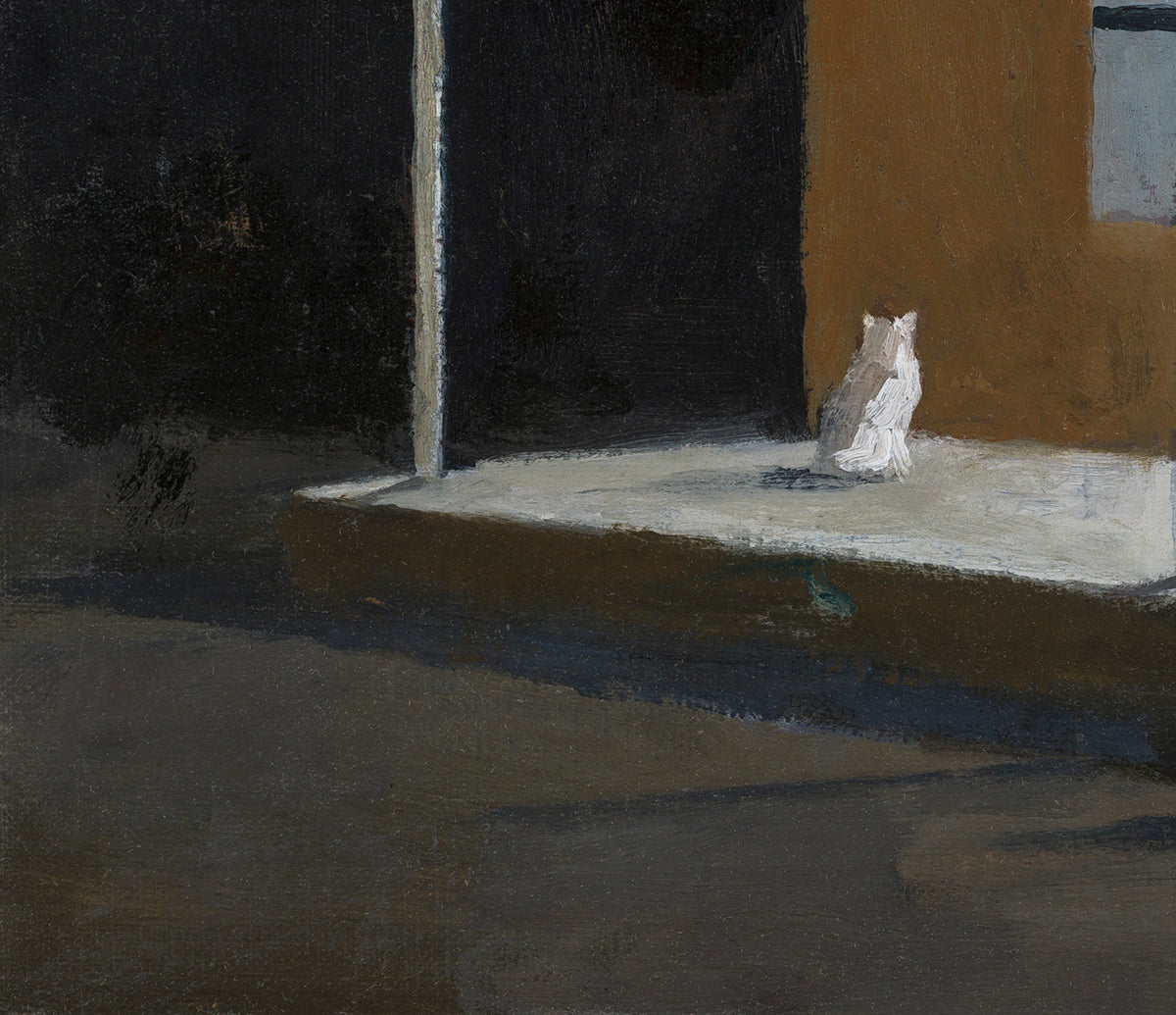 Window study