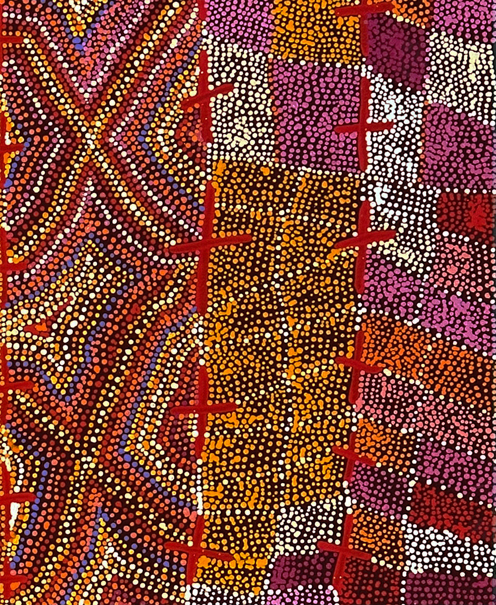 Ngatijirri Jukurrpa (Budgerigar Dreaming) 843-25