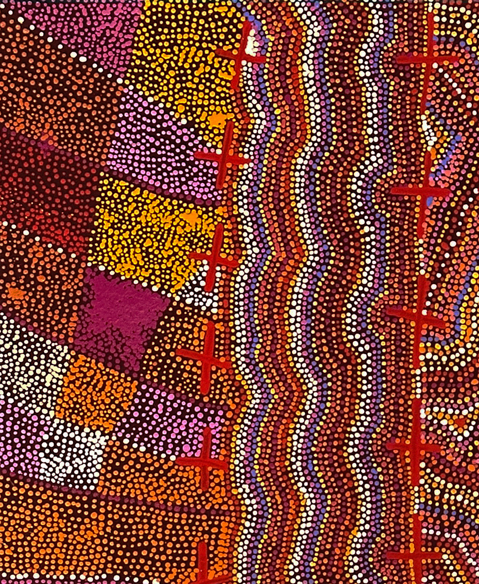 Ngatijirri Jukurrpa (Budgerigar Dreaming) 843-25