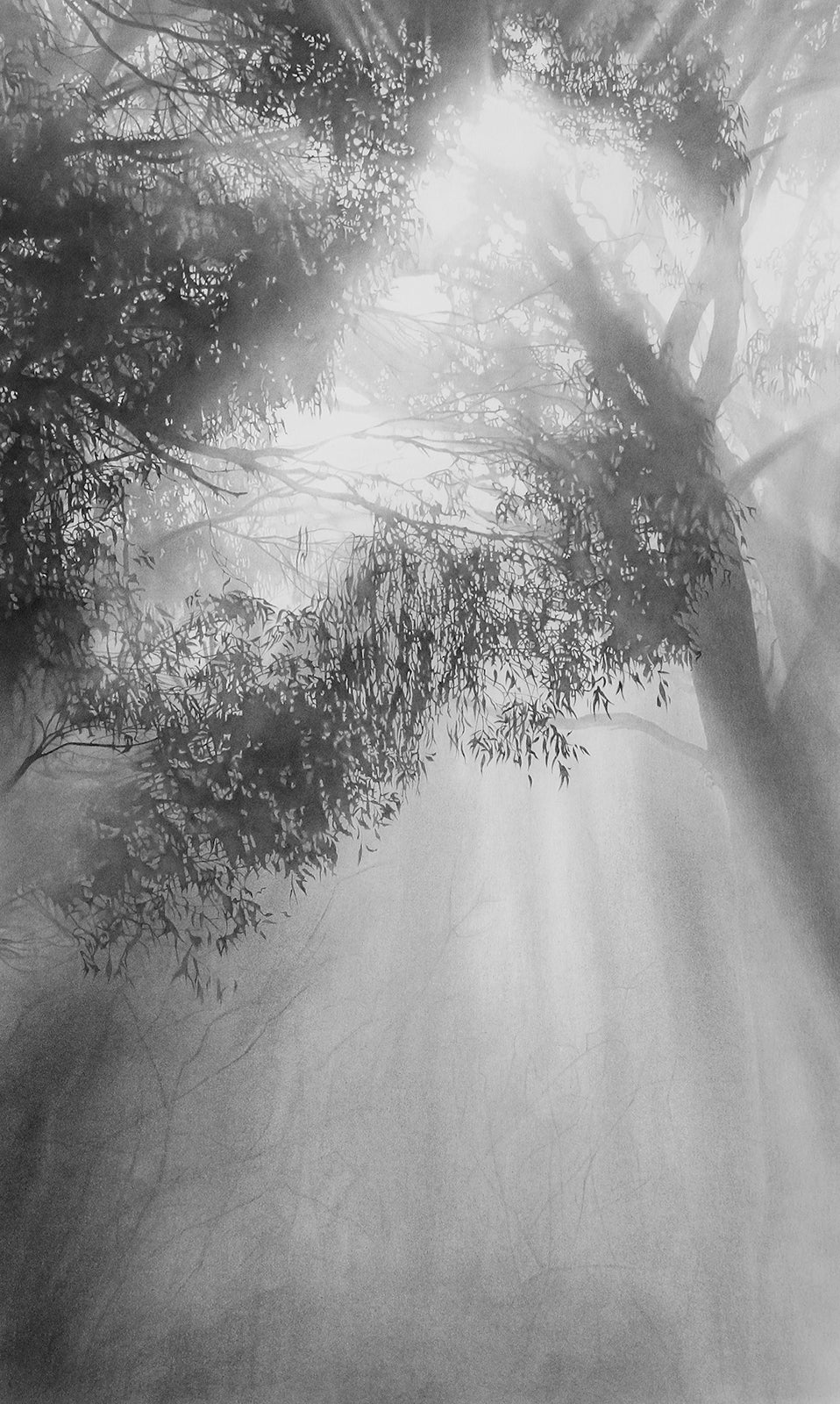 Into Thin Air 3
