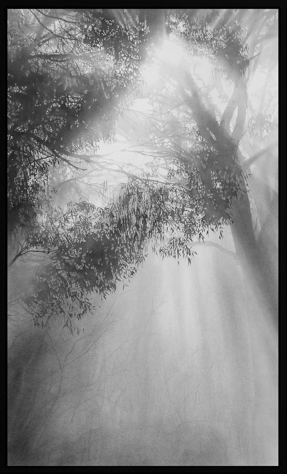 Into Thin Air 3