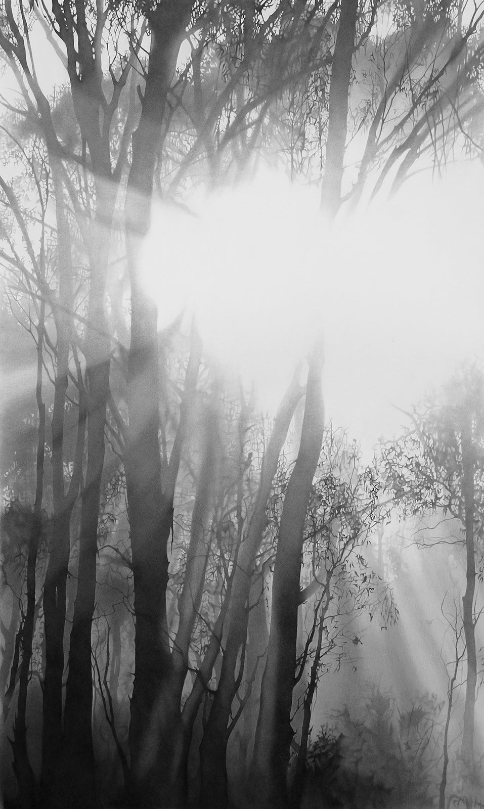 Into Thin Air 2