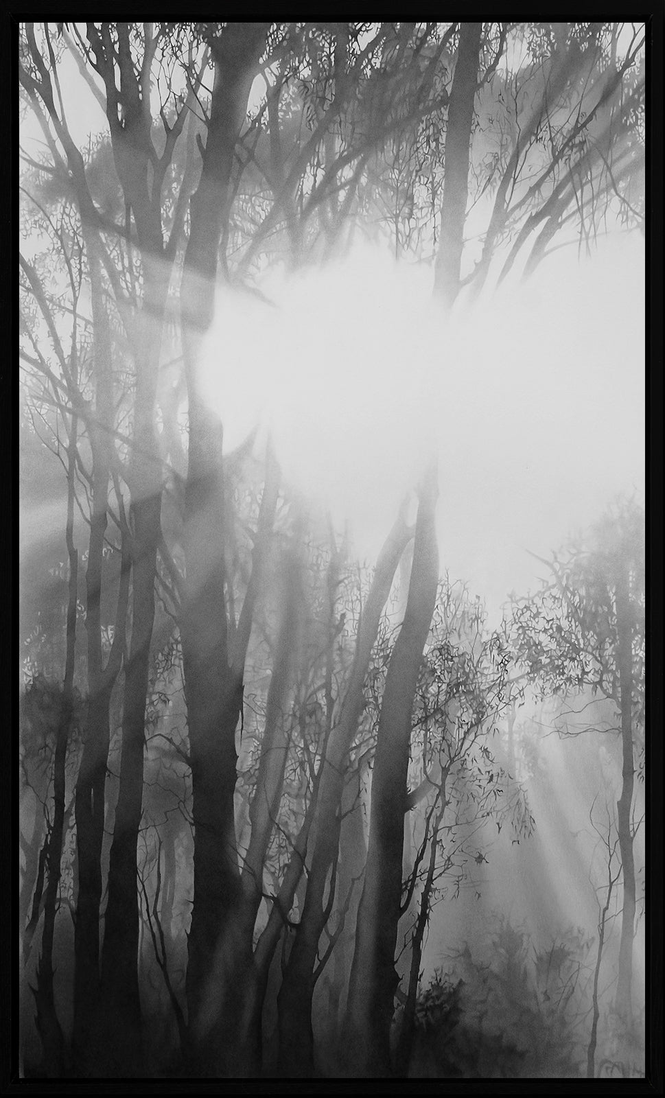 Into Thin Air 2