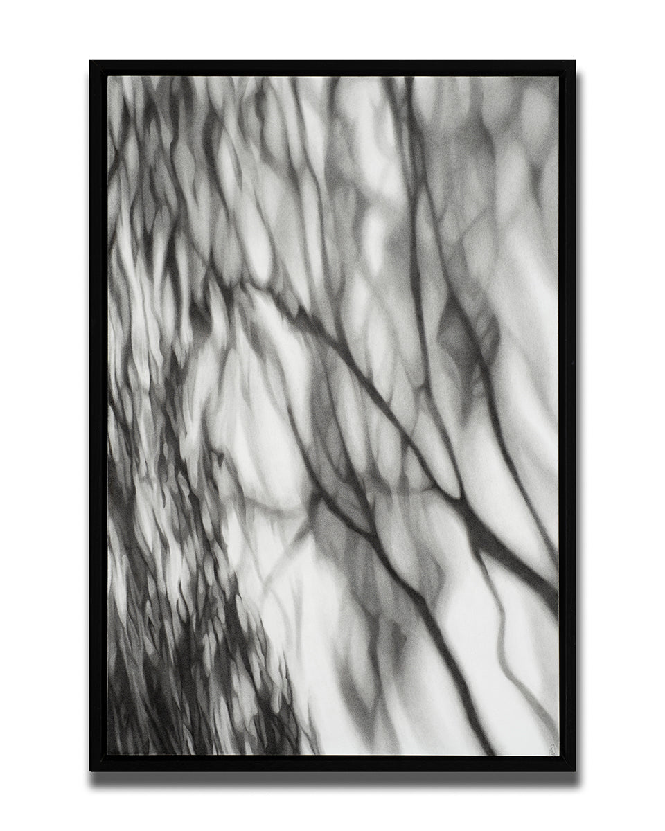 Shadows Wait